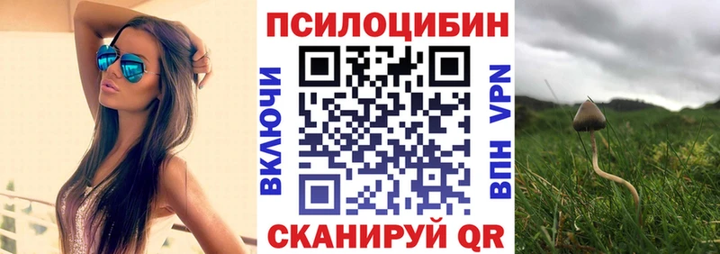 Галлюциногенные грибы Cubensis  Краснообск 